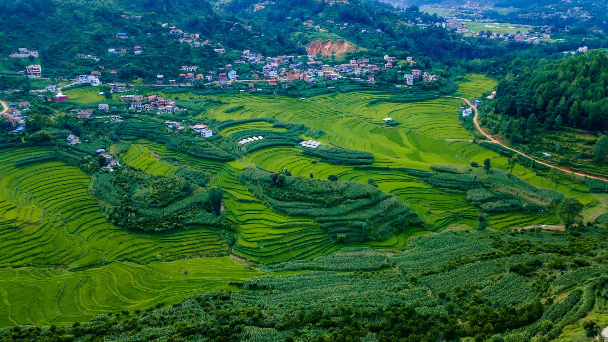 Balthali Mountain Resort - photo 3 of 8